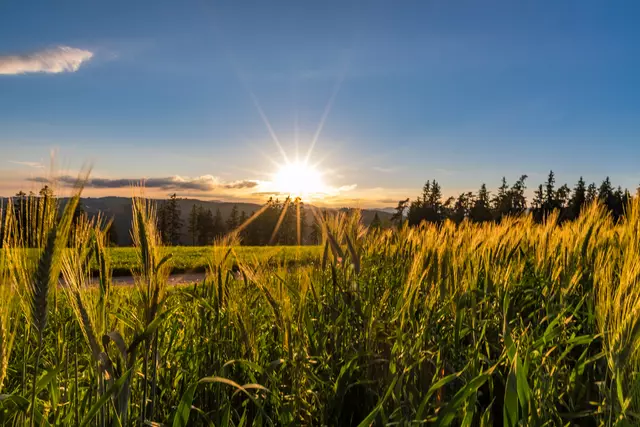 Gemütliche Abendwanderung