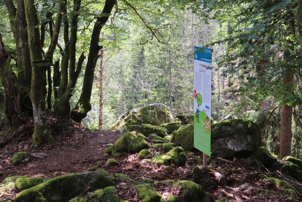 Wanderung auf dem Sagenpfad