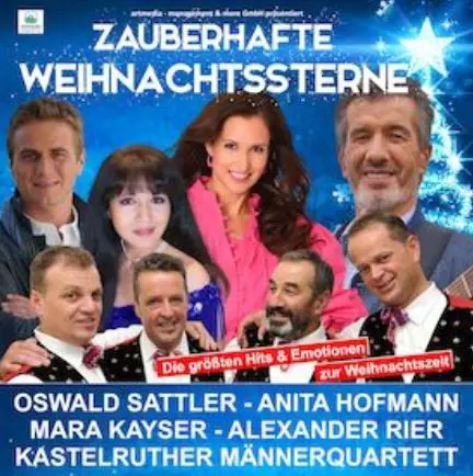 Zauberhafte Weihnachtssterne